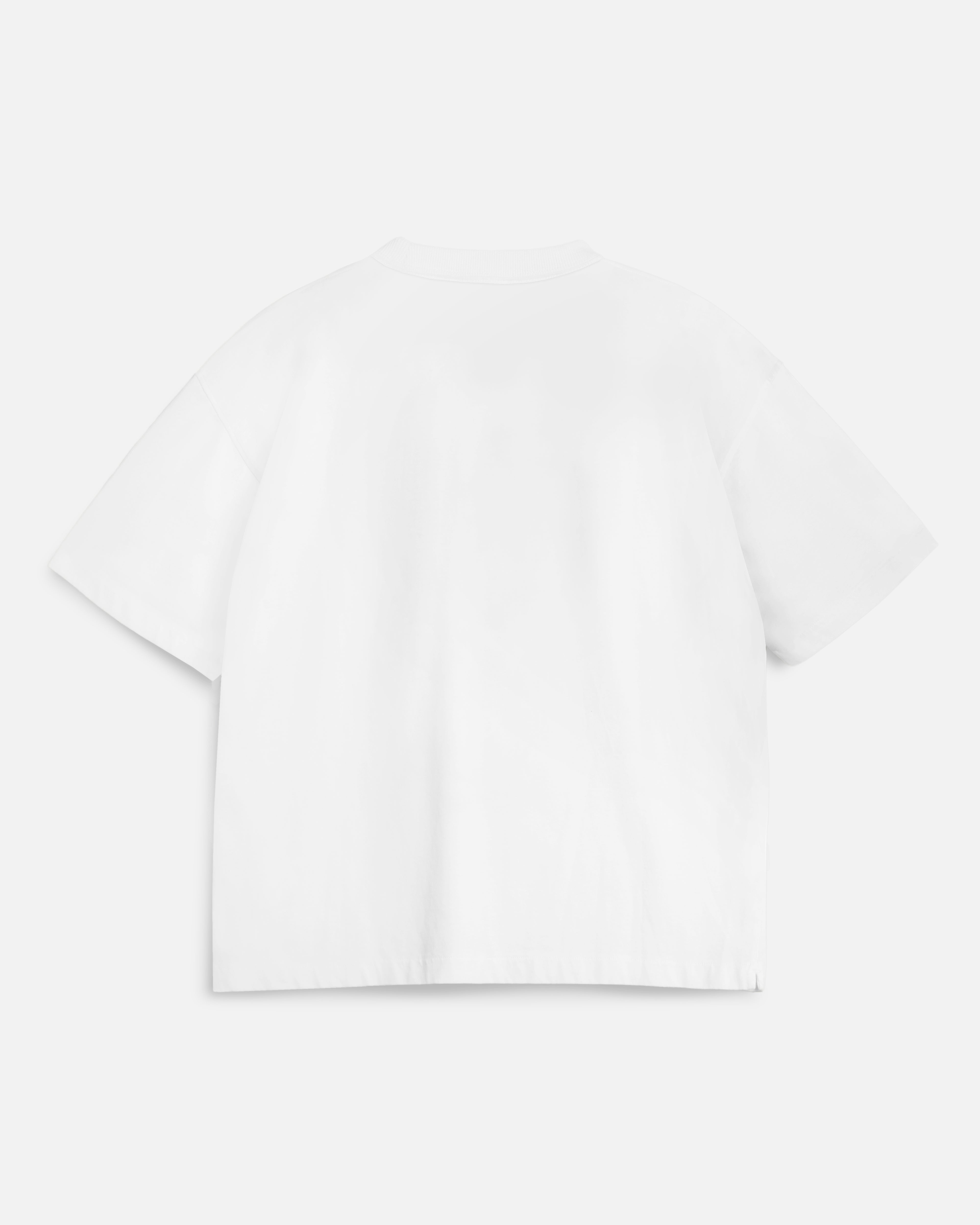 Earth Triple T-Shirt